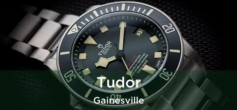 Tudor Gainesville