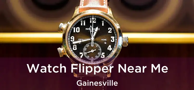 Watch Flipper Near Me Gainesville